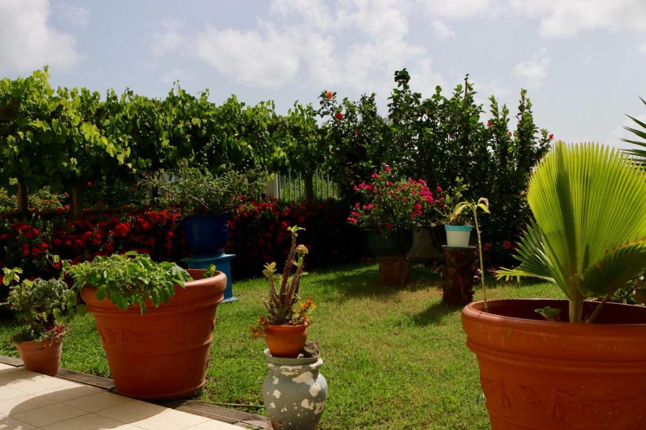 Bed & Breakfast 6 Suites Piscine Et Plage Pointe Faulaル・ヴォクラン エクステリア 写真