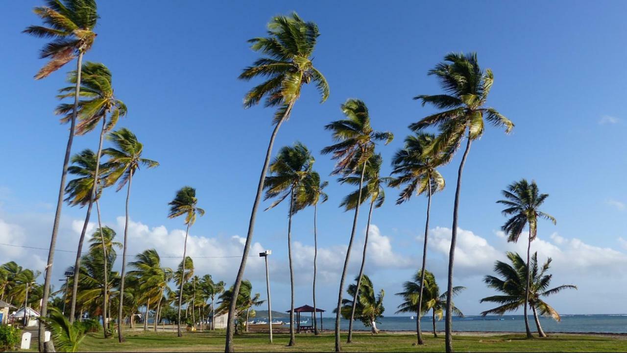 Bed & Breakfast 6 Suites Piscine Et Plage Pointe Faulaル・ヴォクラン エクステリア 写真